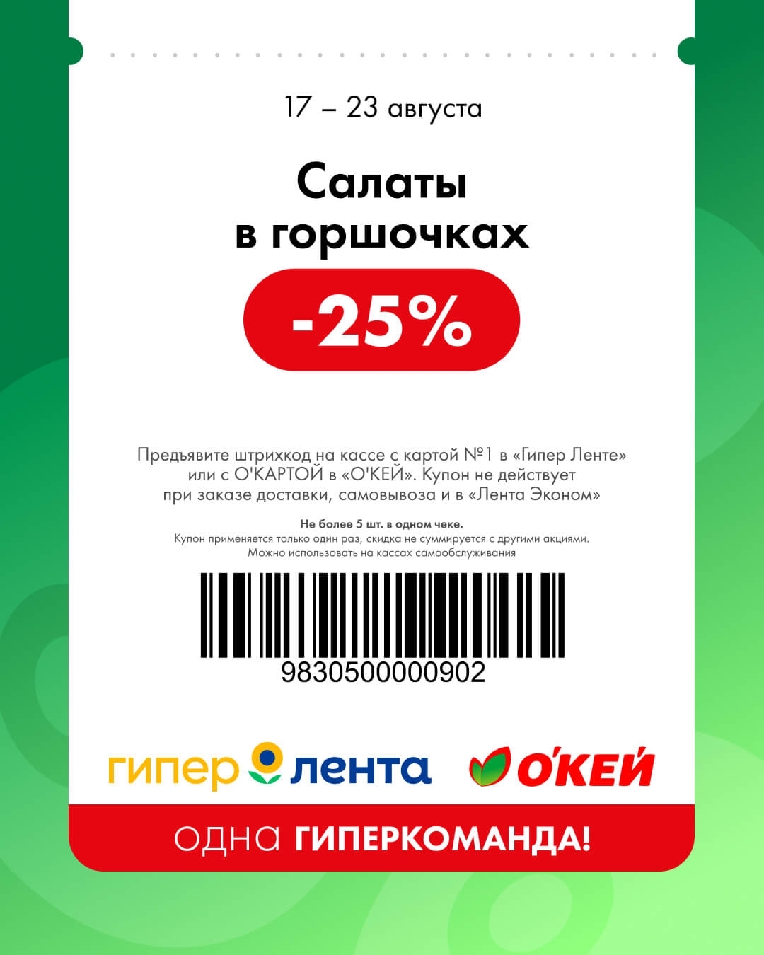 🥗 Салаты в горшочках — скидка 25%